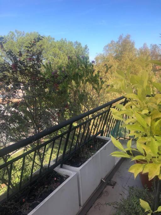 Casa Incantevole Con Vista Parco Appia Antica Villa Rome Bagian luar foto